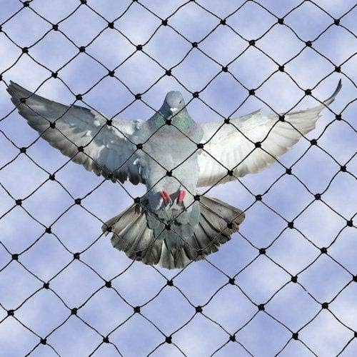 Shop by Room Nylon Net with Tie-Pie Accessories for Protecting Gallery/House/Blacony from Peigon/Bird - 6 X 8 Foot,White
