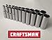 Craftsman Laser Etched Easy Read 21 Piece SAE/Metric 1/4