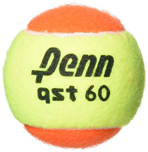 Penn QST 60 Felt Tennis Balls, 12 Ball Polybag