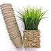 Seeds Starter Peat Pots, Pack of 16, Biodegradable, Perfect for Seeding Carrots, Parsnips, Squashes, Cucumbers, Radishes, Beets and Peas