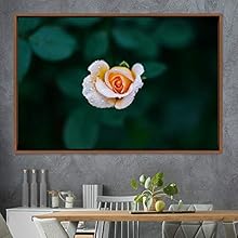 signwin Framed Canvas Wall Art Rose Bohemian Dark Dramatic Floral Multicolor Petal Photography Portrait - 16x24 inches