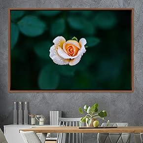 signwin Framed Canvas Wall Art Rose Bohemian Dark...
