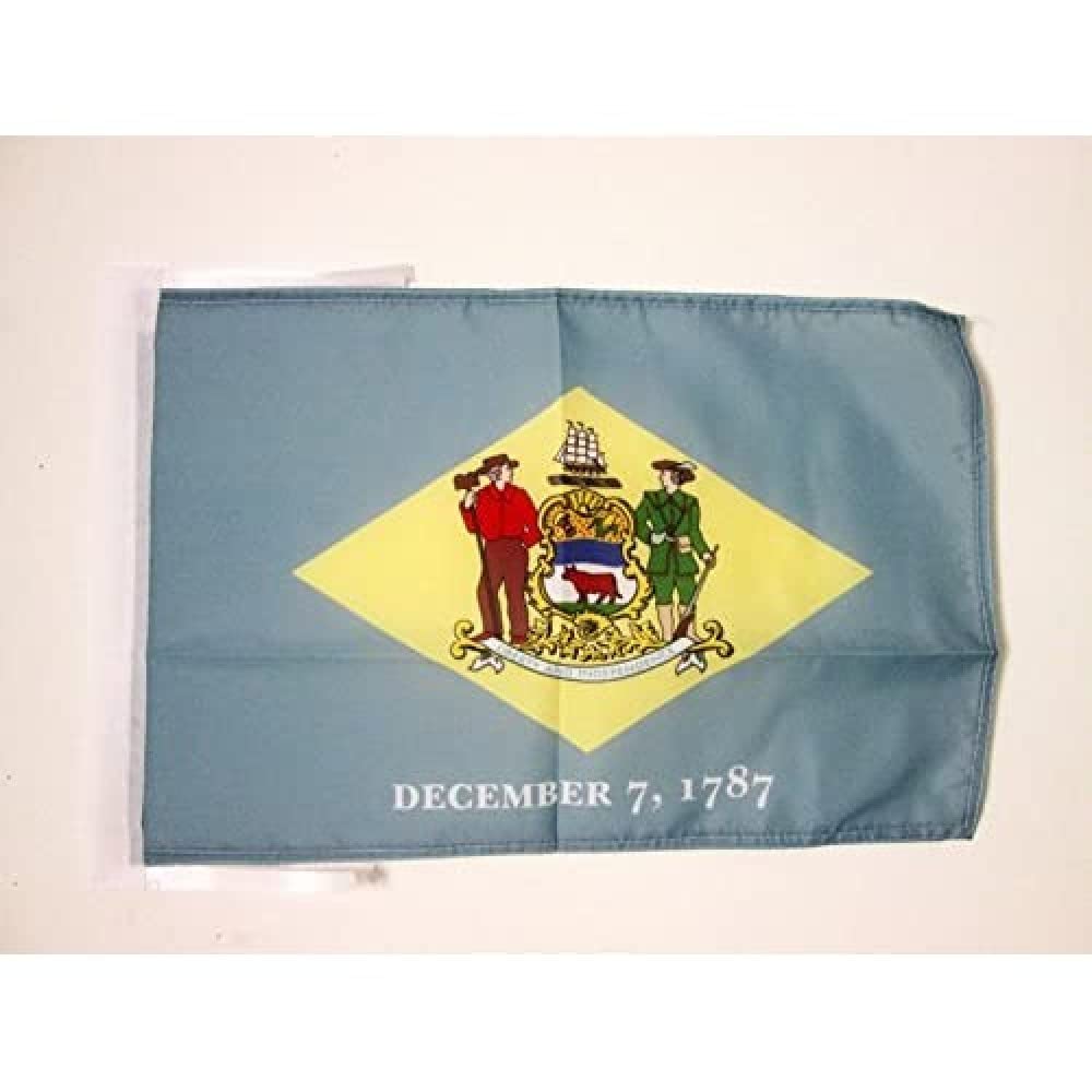 AZ FLAG - Delaware Flag - 18'' x 12'' - 100% Polyester US state of Delaware Small Banner with Two Cords - Fade Resistant - Vivid Colors - 18x12 in - 45x30 Cm