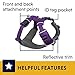 Ruffwear, Front Range Dog Harness, Reflective Soft Padded Everyday Harness with Dual Leash Clips, Adjustable and Lightweight Fit for Training or Walking for All Dogs, Tillandsia Purple, X-Small