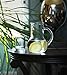 Circleware Oasis Bedside Carafe and Glass Set, One 36 Ounce Glass Pitcher and 8 Ounce Drinking Glass, Limited Edition Glassware Drinkware