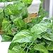 RURALITY Faux Green Leaf Garland for Wedding Decor,Fake Greenery Garland for Table Mantle Decoration,189 Inches