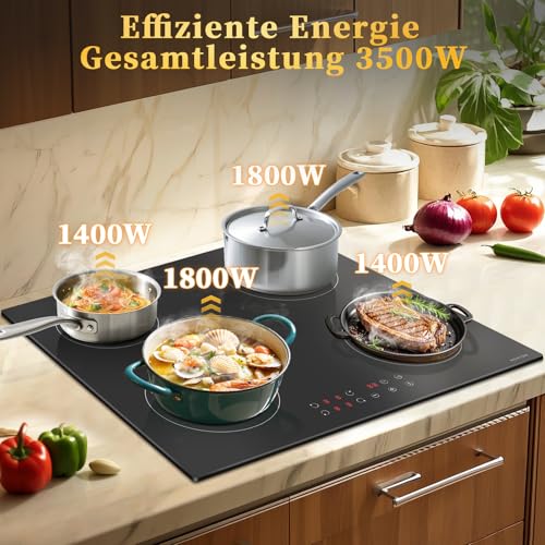 NOXTON Induction Hob 60 cm with Plug, 4 Plates with 3500 W, Self-sufficient Installation Induction Hob, Touch, 9 Heat Settings, 1-99 Min Timer, Child Lock, Automatic Shut-Off