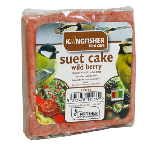 Natures Market Suet Cake with Wild Berries