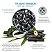 [Two Pack] Natural Air Purifier Bag - Odor Absorber, Eliminator - Moisture & Mold Removal For Closet, Shoes, Bathroom, Pet Litter - Bamboo Activated Charcoal - Car Air Freshener and Deodorizer