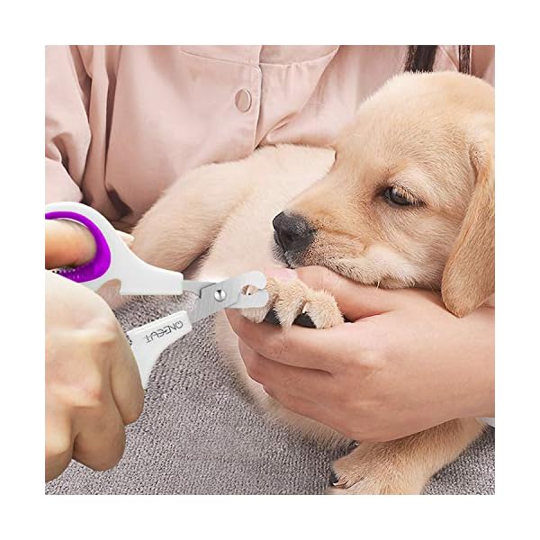 OneCut Pet Nail Clippers, Update Version Cat & Kitten Claw Nail Clippers for Trimming, Professional Pet Nail Clippers…