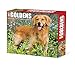 Just Goldens 2020 Box Calendar (Dog Breed Calendar)