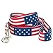 American Flag Dog Leash (Large)