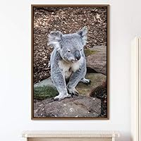 Framed Canvas Wall Art Koala Animals Expressive Koala Living Room Multicolor Photography Tropical - 16x24 inches