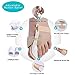 Bunion Corrector, HAV Splint Day and Night Splint Hammer Toe Corrector, 2pcs Adjustable Velcro Bunion Splint Protector Sleeves kit (Nude)