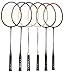 Python Ultimate Badminton Starter Set (Kit)(+2 Bonus Racquets/6 Total, Net & Poles)