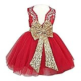 Baby Girls Sequins Bowknot Floral Princess Dresses (2-3Years, Red)