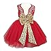 Baby Girls Sequins Bowknot Floral Princess Dresses (2-3Years, Red)