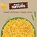 Back to Nature Organic Crazy Bugs Cheddar Macaroni and Cheese Dinner (6 oz Boxes, Pack of 12)