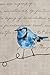Maison d' Hermine Placemats Set of 2 100% Cotton Washable Cloth Place Mats, Reusable Table Mats for Kitchen Dining Decoration, Party, Wedding, Restaurant Spring/Summer (Birdies On Wire, 13