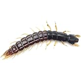 Tackle Max Hellgrammite Soft Plastic Fishing Lure - Super Realistic Bass and Trout Bait, 3.7", 8 Pack