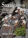 Saxifrages: The Definitive Guide to 2000 Species, Hybrids & Cultivars by 