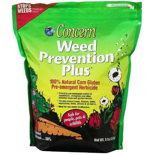 corn gluten pre emergent