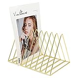 Files Folder Stand Desktop File Organizer, Copper Wire Book Shelf Magazine Rack, 9 Slot File Sorter Eye-catching Decoration for Indoor Office Home, Photography Props, Fashion in INS (Gold)