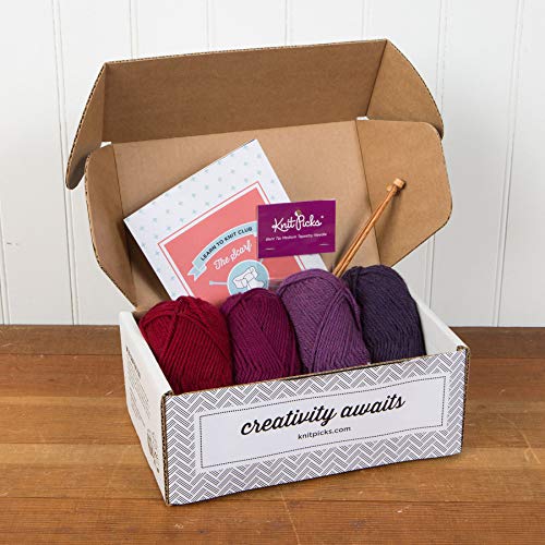 2 Knit+Picks+Learn+Club+Beginner