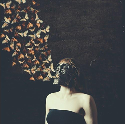 Fine Art Photography Print, Conceptual, Beautiful Butterfly Vomit
