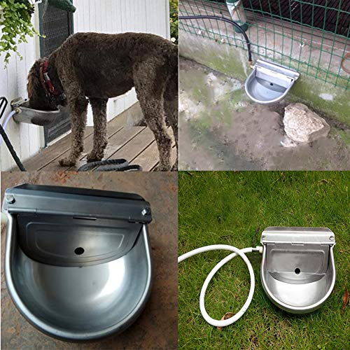 Lucky Farm Automatic Water Feeder Trough Bowl with Pipe for Cattle Horse Goat Sheep Dog Animals Stainless Pet Livestock Tool - Thumbnail 4