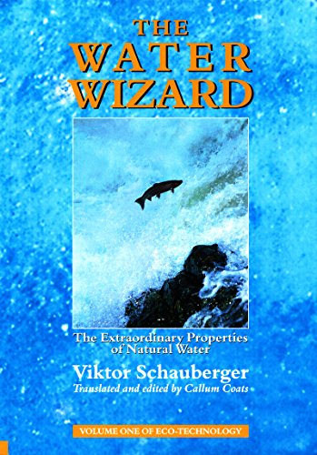 The Water Wizard – The Extraordinary Properties of Natural Water (Ecotechnology Book 1)