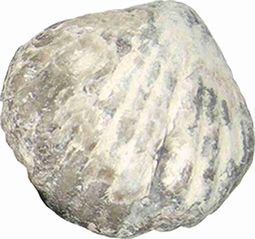 5 Ulysse+ERAS+Life+Excavation+Kit