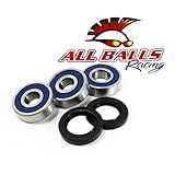 All Balls Wheel Bearing Kit Rear for Honda CB Magna Shadow