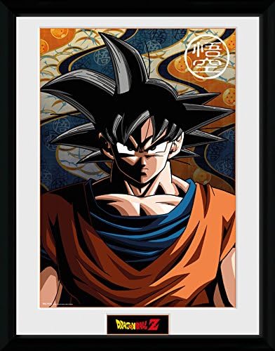 Dragon Ball Z - Goku (Stampa In Cornice 30x40cm) (1 Accessorie)