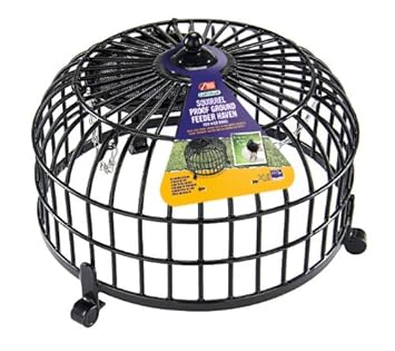 Squirrel Proof Ground Feeder Haven Amazon Co Uk Garden Outdoors