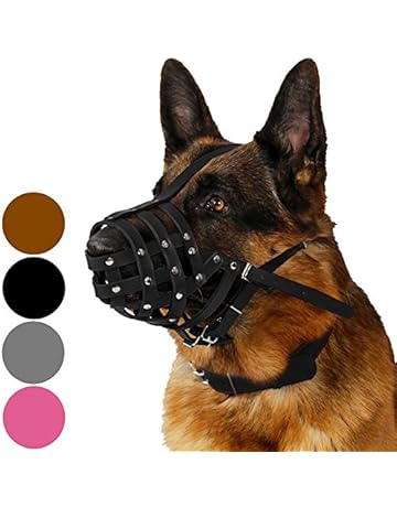 dog muzzle petsmart canada