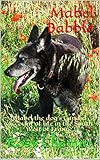 Mabel Babble: Mabel the dog's Candid Account of life in the South West of France. by Rosy Chemin