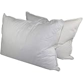Down Dreams Classic King Pillow Set of 2