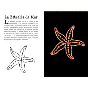 Bajo el Mar Raspa y Dibuja (Under the Sea Scratch & Sketch) (Spanish Edition)