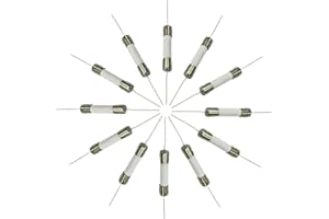 IBYZSO 5PCS 6 * 30mm 250V Ceramic Fuse Tube with pin Fast Fuse,15A