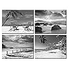Nachic Wall Black and White Beach Wall Art 4 Piece Sea Sunrise Palm Tree Landscape Picture Painting on Canvas for Modern…