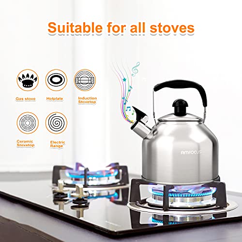 Tea Kettle Stovetop Whistling Teapot Stainless Steel Tea Pots for All