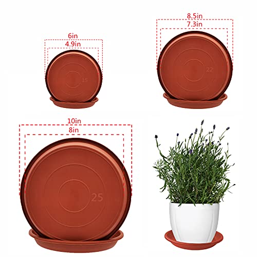 QCYOHO 12 Pack Plant Trays Plastic Plant Saucer Flower Plant Pot Saucer