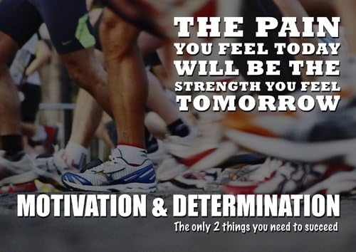 Empire 113 Anglais Citation Panneau Poster Photo La Douleur Vous Aujourd Hui Sera La Force Vous Demain Sports Boxe Cyclisme Athletisme Musculation Triathlon Basket Ball Football Rugby Natation Boxe Arts Martiaux Amazon Fr Cuisine Maison