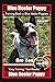 Blue Heeler Puppy Training Book for Blue Heeler Puppies By BoneUP DOG Training: Are You Ready to Bon by Karen Douglas Kane