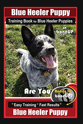 Blue Heeler Puppy Training Book for Blue Heeler Puppies By BoneUP DOG Training: Are You Ready to Bon by Karen Douglas Kane