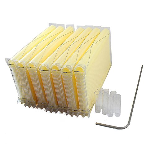 image for Eapmic Auto Honey Hive Beehive Frames + Beekeeping Wooden House Beehiv