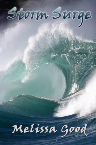 Storm Surge Paperback – 3 Sep 2010