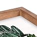 Enjoy The Little Things Cactus Plants 10 x 7 Inch Pine Wood Framed Wall Art Plaque
