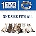 COTENI Flea and Tick Collar for Cat – 12 Months Protection from Fleas and Ticks – Allergy Free Flea Treatment for Cats- Adjustable, Efficient and Safe Flea Collarthumb 1